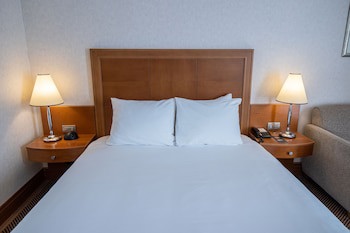 Crowne Plaza Brussels Airport, An Ihg Hotel