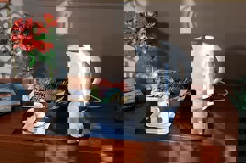 Nova Plaza Crystal Hotel & Spa