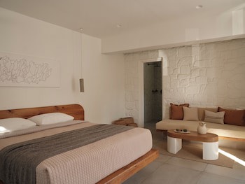 Andronikos Hotel - Adults Only fotoğrafı