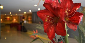 Hotel Alborada