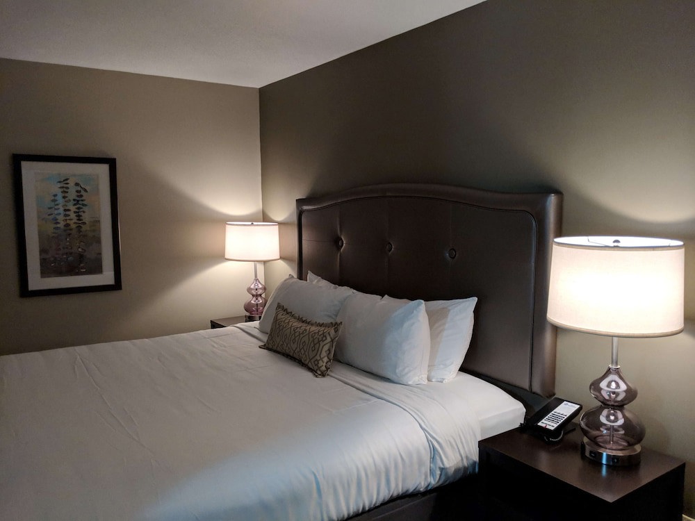 Best Western Swan Castle Inn