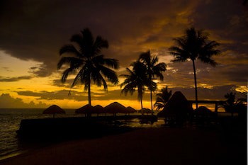 Coconuts Beach Club Resort & Spa