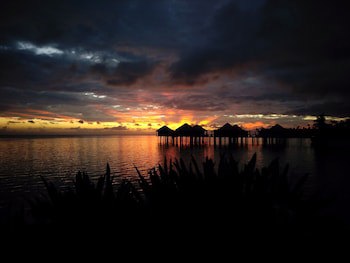 Coconuts Beach Club Resort & Spa