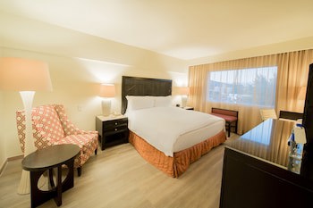 Real Intercontinental San Salvador At Metrocentro Mall, An Ihg Hotel