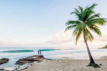 Carambola Beach Resort St. Croix, Us Virgin Islands