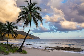Carambola Beach Resort St. Croix, Us Virgin Islands