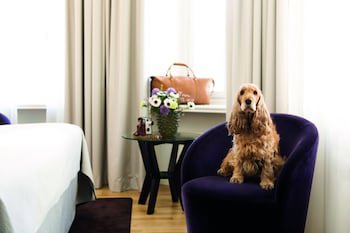 Elite Hotel Brage - Hotel & Spa