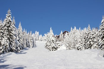 Elite Hotel Brage - Hotel & Spa