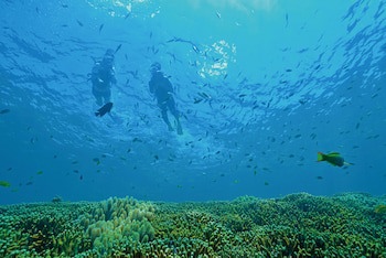 Okuma Private Beach & Resort