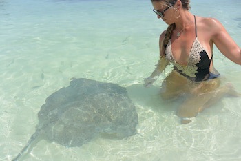Green Turtle Club Resort & Marina