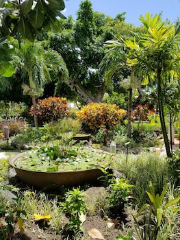 Blue Horizons Garden Resort
