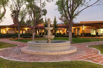 Gamma Pachuca