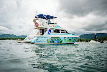 Margaritaville Beach Resort Playa Flamingo