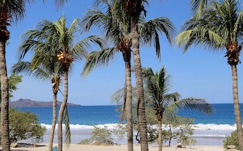 Margaritaville Beach Resort Playa Flamingo