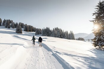Gstaad Palace