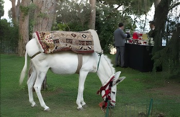 Al Bustan Hotel & Spa