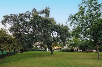 Crisol Jardines De Cordoba