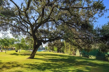Crisol Jardines De Cordoba