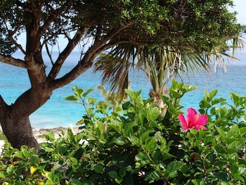 Coco Reef Bermuda