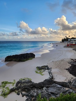 Coco Reef Bermuda