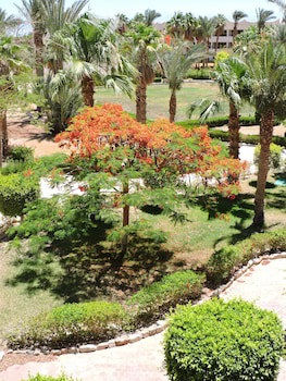 Time Coral Resort Nuweiba