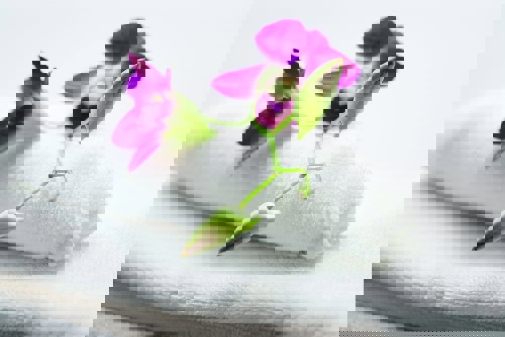 Movenpick Hotel Munster am Aasee