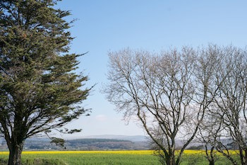 Boringdon Hall Hotel And Spa