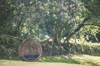 Boringdon Hall Hotel And Spa