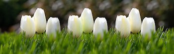 Barton Manor Hotel & Spa, Bw Signature Collection