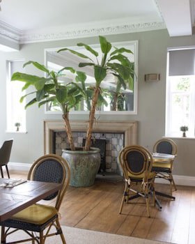 Bush Hotel Farnham