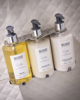 Bush Hotel Farnham
