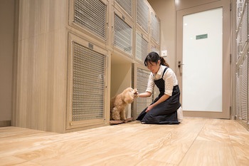 Sheraton Grande Tokyo Bay Hotel