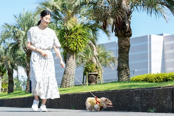 Sheraton Grande Tokyo Bay Hotel