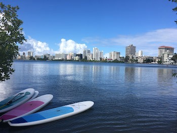 El Canario By The Lagoon