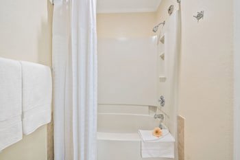 Comfort Suites Paradise Island