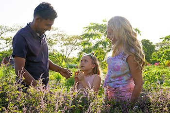Sheraton Fiji Golf & Beach Resort