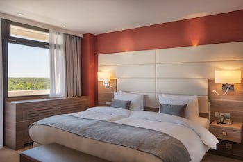 Crowne Plaza Frankfurt Congress Hotel by IHG galeri fotoğrafı