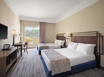 Crowne Plaza Rome-St. Peters Hotel & Spa by IHG galeri fotoğrafı
