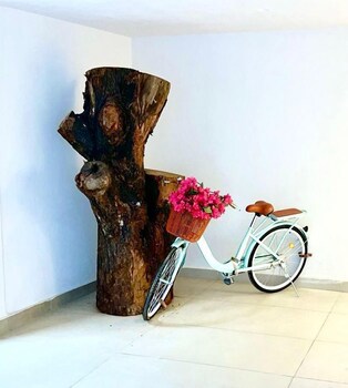 Amares Acapulco