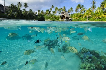 Intercontinental Bora Bora Resort And Thalasso Spa, An Ihg Hotel