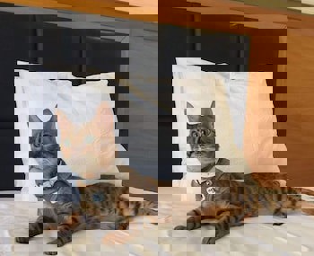 Best Western Plus Hotel Konak