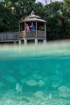 Grotto Bay Beach Resort