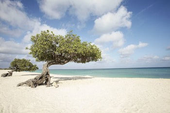 Eagle Aruba Resort