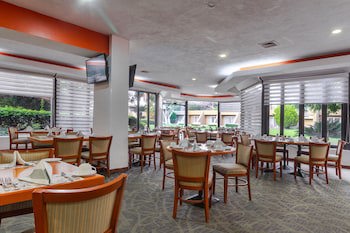 Camino Real Guadalajara