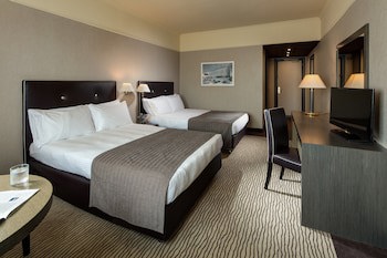 Holiday Inn Rome- Eur Parco Dei Medici by IHG galeri fotoğrafı