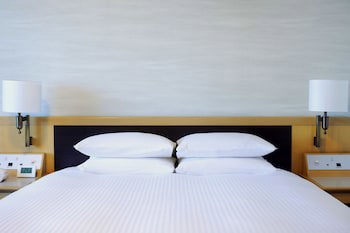 Hotel Nikko Narita