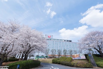 Hotel Nikko Narita