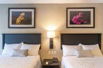 Conquistador Hotel And Conference Center
