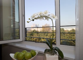 relexa hotel Stuttgarter Hof Berlin galeri fotoğrafı