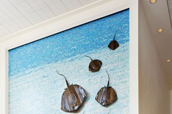 Grand Cayman Marriott Resort